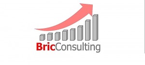 Bric Consulting Logo